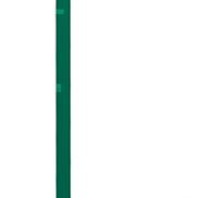 Hole Völkl Phantastick Kids Green 21/22 